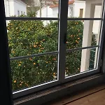 Orange Tree House, Silver Coast, Alcobaca, Nazare בית נופש