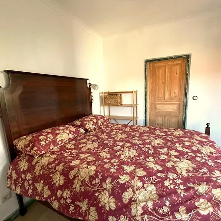 Orange Tree House, Silver Coast, Alcobaca, Nazare Holiday home *