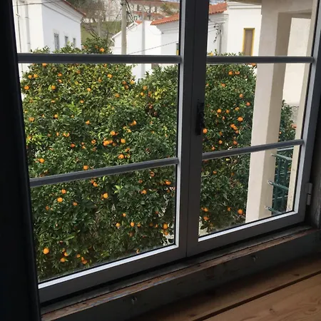 Orange Tree House, Silver Coast, Alcobaca, Nazare 別荘