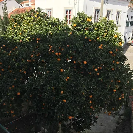 Orange Tree House, Silver Coast, Alcobaca, Nazare Alpedriz