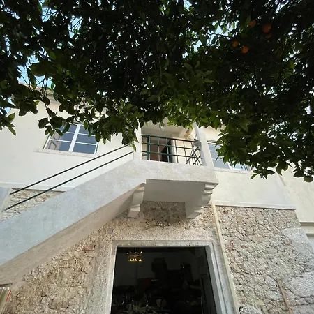 Orange Tree House, Silver Coast, Alcobaca, Nazare בית נופש