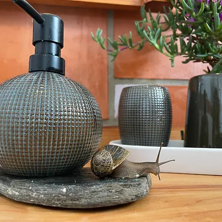 Feriehus Orange Tree House, Silver Coast, Alcobaca, Nazare Alpedriz