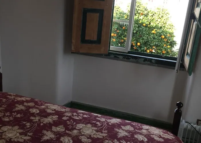 Orange Tree House, Silver Coast, Alcobaca, Nazare * Alpedriz