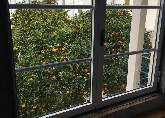 Orange Tree House, Silver Coast, Alcobaca, Nazare Nyaraló