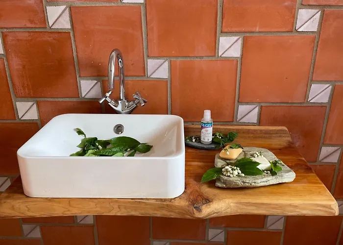 Orange Tree House, Silver Coast, Alcobaca, Nazare