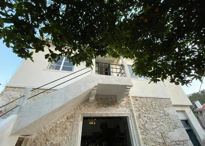 Orange Tree House, Silver Coast, Alcobaca, Nazare Nyaraló